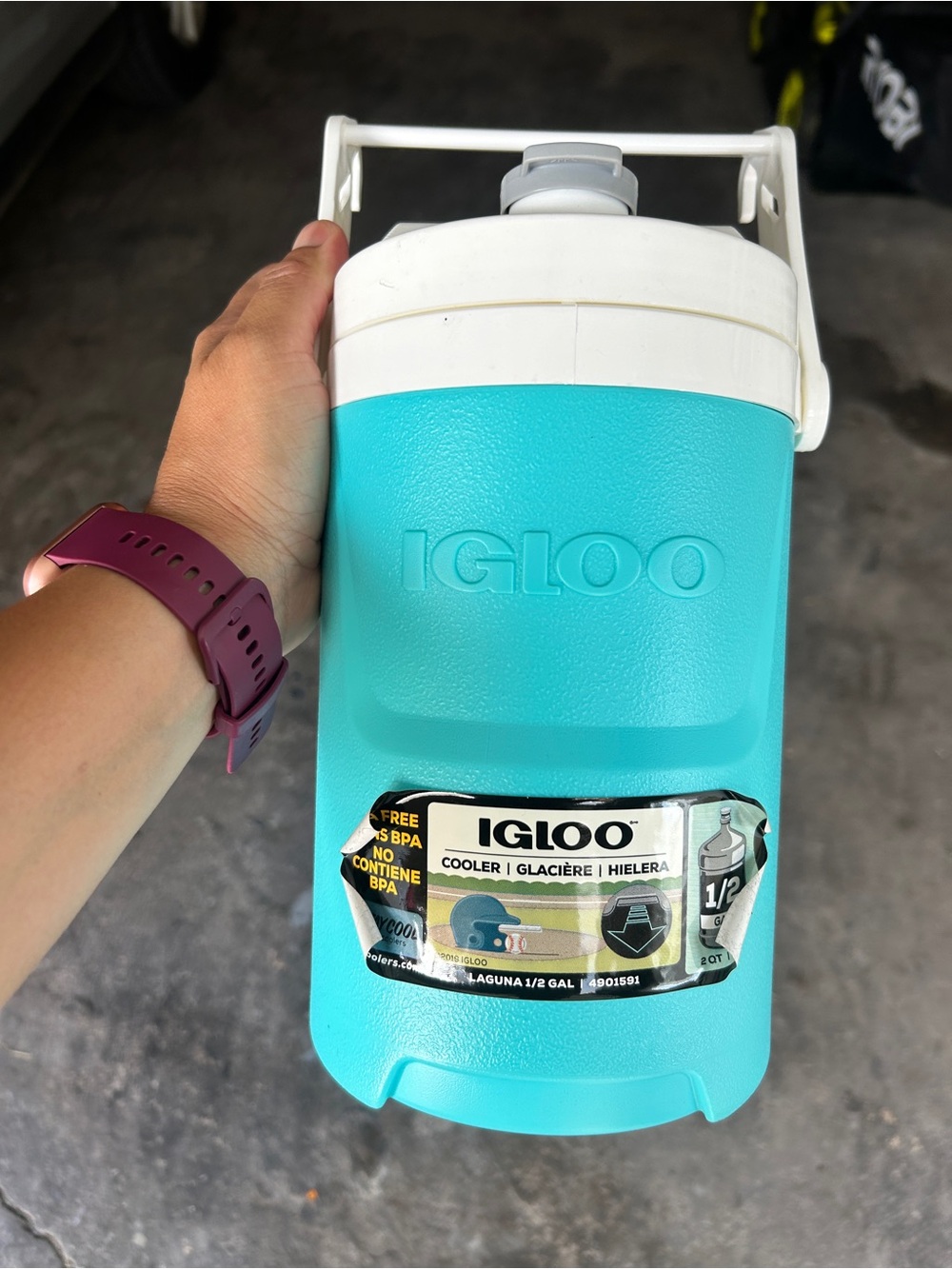 Igloo Turquoise Personal Cooler Jug with White Handle and Lid